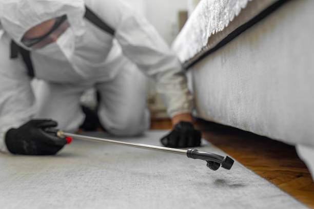 Professional Pest Control technician working in Serenada, TX