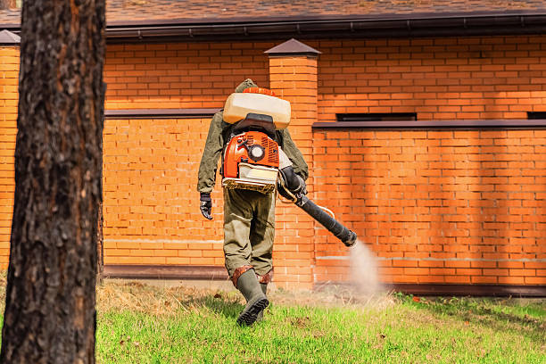Trusted Fumigation Services service in Serenada, TX - Nex Pest Control